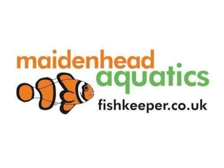 Maidenhead Aquatics